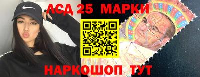 индика Нальчик