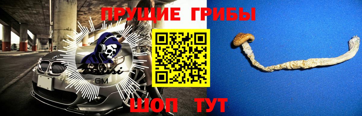 Алейск  Галлюциногенные грибы мицелий  Вход с VPN 