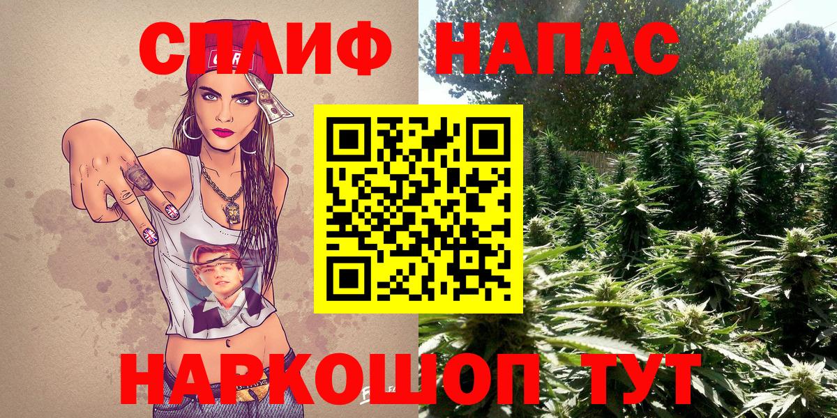Шишки марихуана конопля Алейск